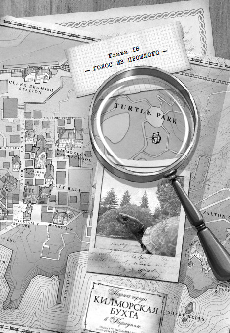 Дом зеркал Дом зеркал