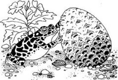 Говорящий сверток Говорящий сверток