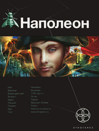 Наполеон. Книга 1. Путь к славе - Игорь Пронин