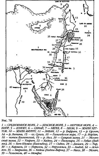 Лестница в небо. В поисках бессмертия