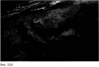 Лестница в небо. В поисках бессмертия