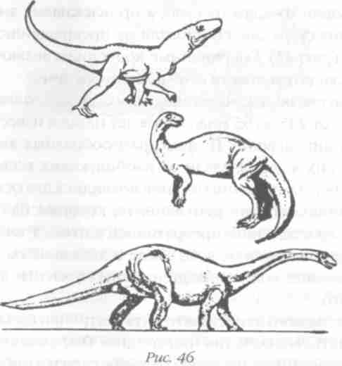 Назад в будущее. Разгадка секретного шифра Книги Бытия
