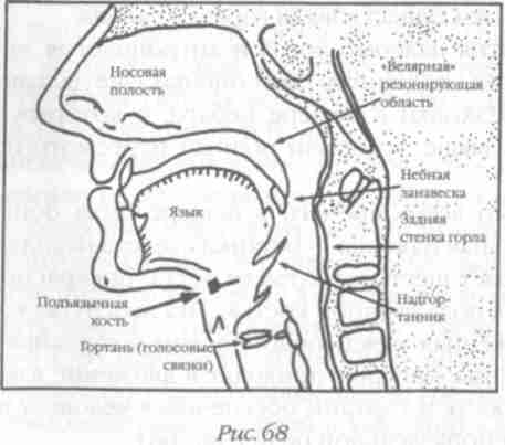 Назад в будущее. Разгадка секретного шифра Книги Бытия