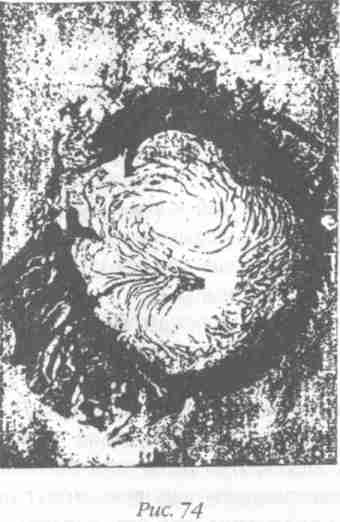 Назад в будущее. Разгадка секретного шифра Книги Бытия