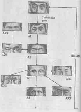Встреча с мастером Встреча с мастером