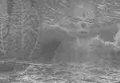 Встреча с мастером Встреча с мастером