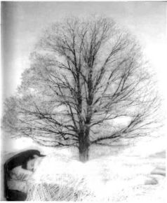 Архитектор снов Архитектор снов