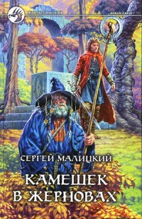 Камешек в жерновах - Сергей Малицкий