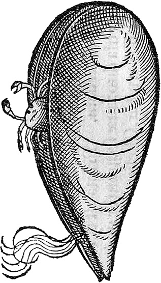 Лагуна. Как Аристотель придумал науку 