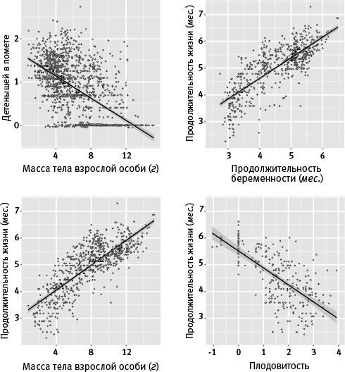 Лагуна. Как Аристотель придумал науку 
