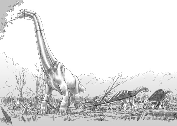 Тайна дерева-храма