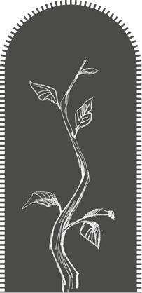 Страшные истории для рассказа в темноте Страшные истории для рассказа в темноте