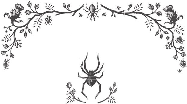 Ночные кошмары! Ночные кошмары!