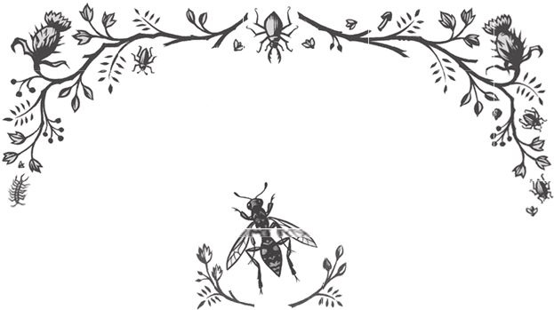 Ночные кошмары! Ночные кошмары!