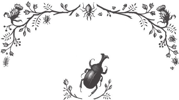 Ночные кошмары! Ночные кошмары!