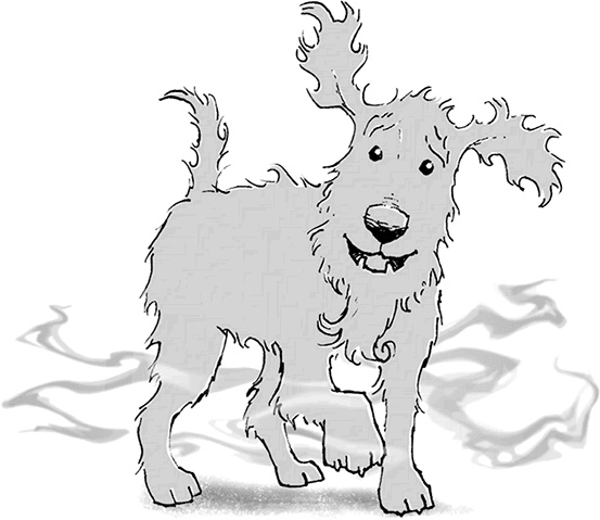 Друзья навсегда Друзья навсегда