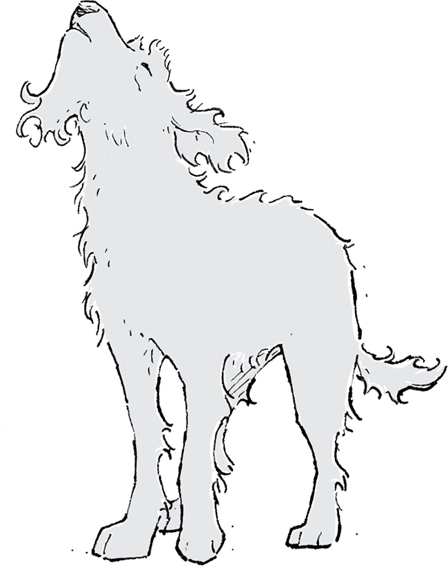 Друзья навсегда Друзья навсегда