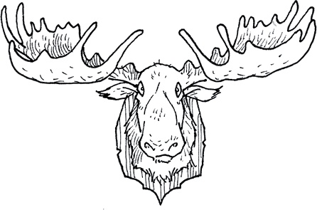 Друзья навсегда Друзья навсегда