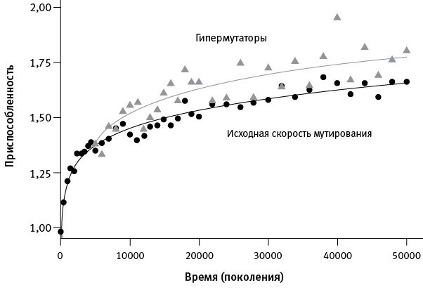 Перспективы отбора Перспективы отбора
