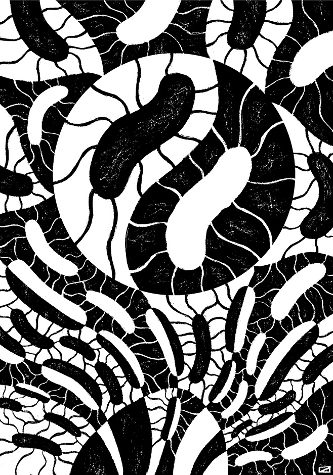 Перспективы отбора