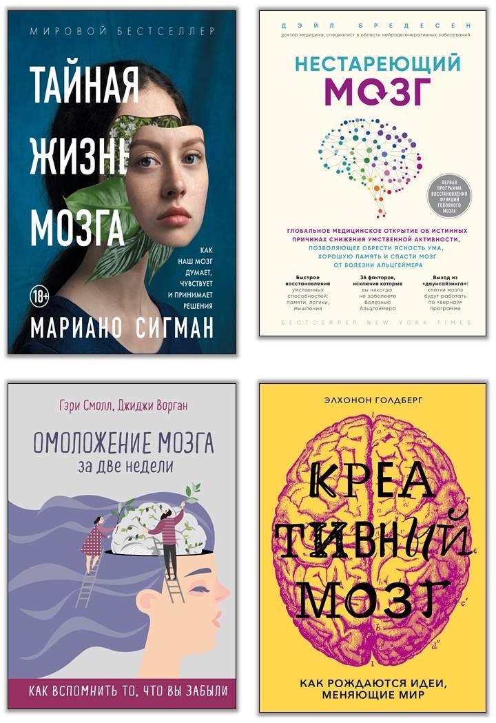 Мозг – повелитель времени