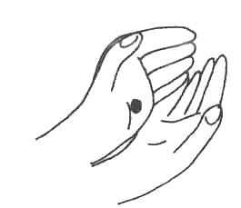 Книжный вор