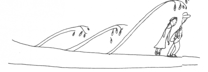 Книжный вор