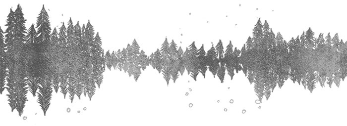 Песня для кита Песня для кита