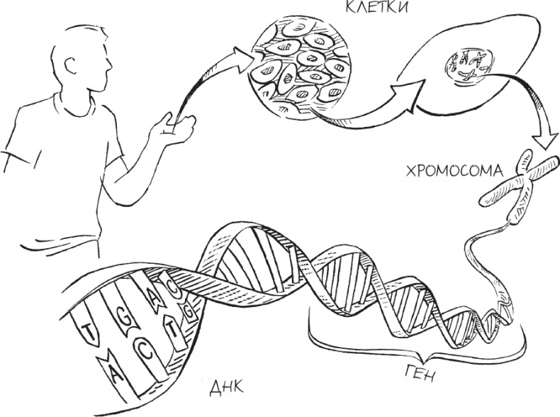 Трещина в мироздании Трещина в мироздании