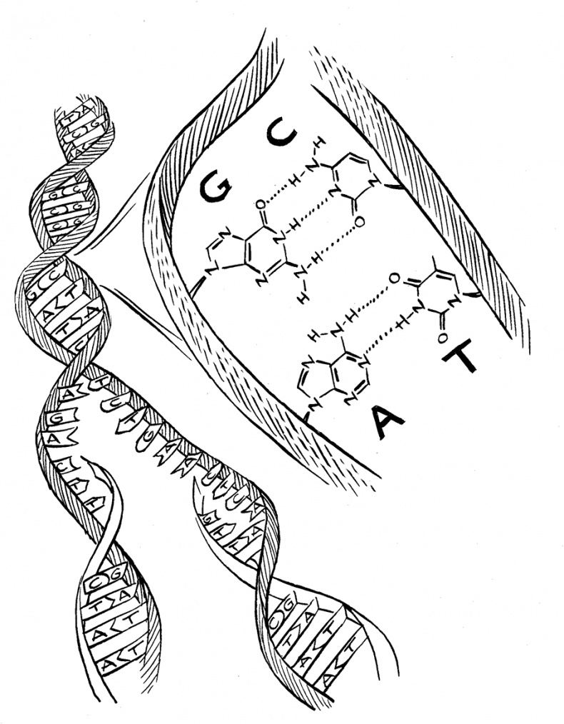 Трещина в мироздании Трещина в мироздании