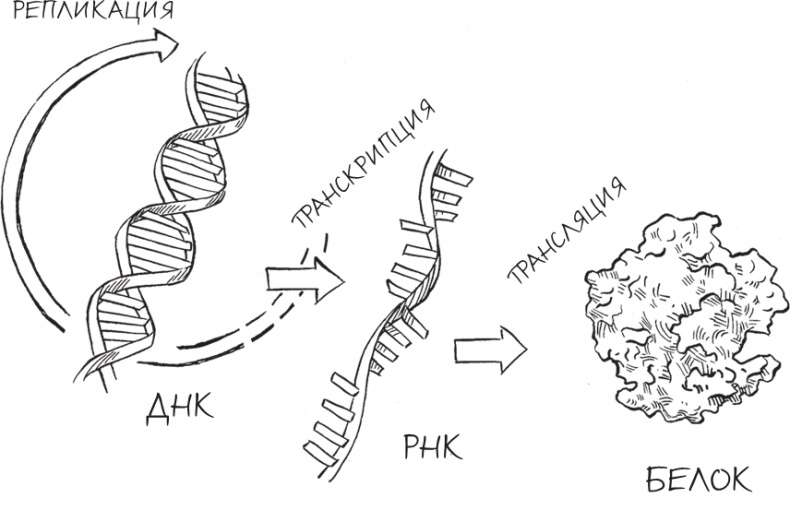Трещина в мироздании Трещина в мироздании