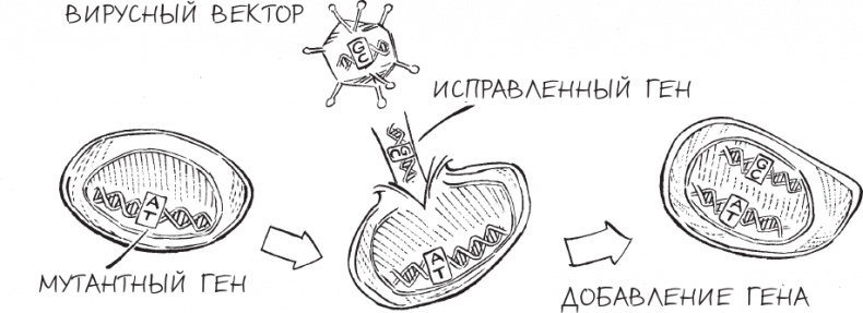 Трещина в мироздании
