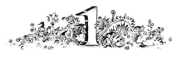 Потилла Потилла