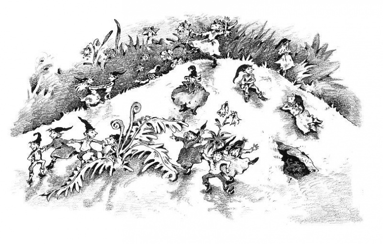 Потилла Потилла