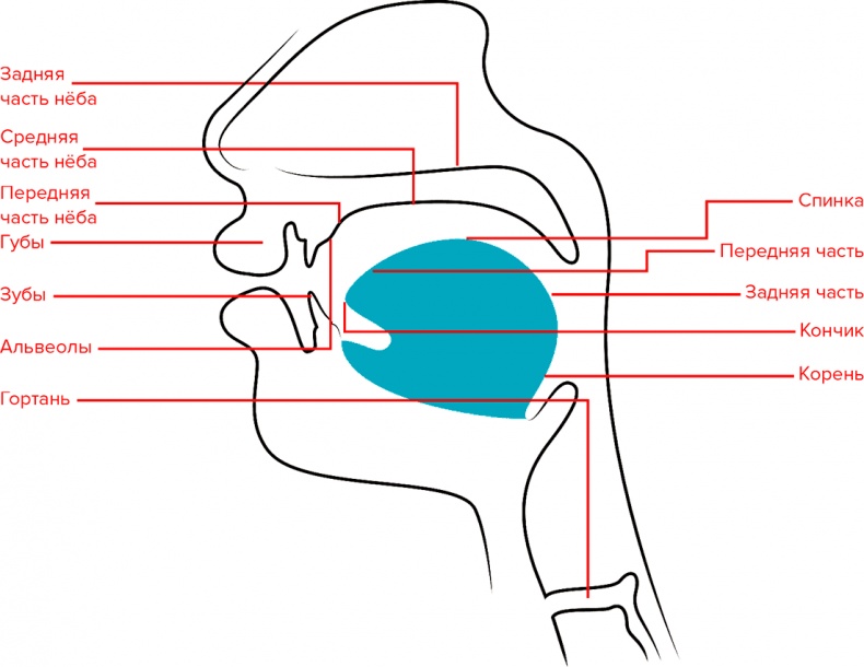 Голос Голос