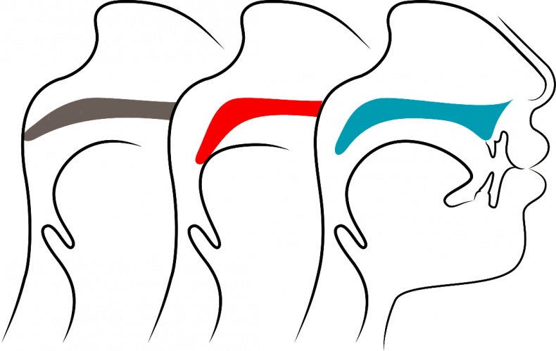 Голос Голос