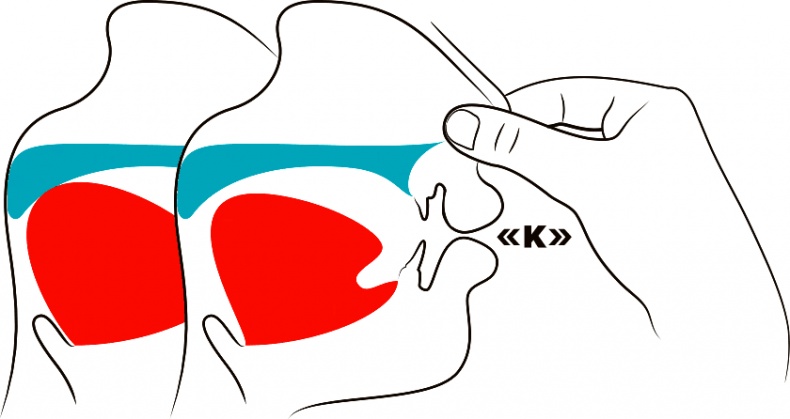 Голос Голос