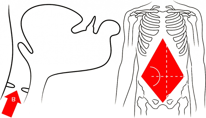 Голос Голос