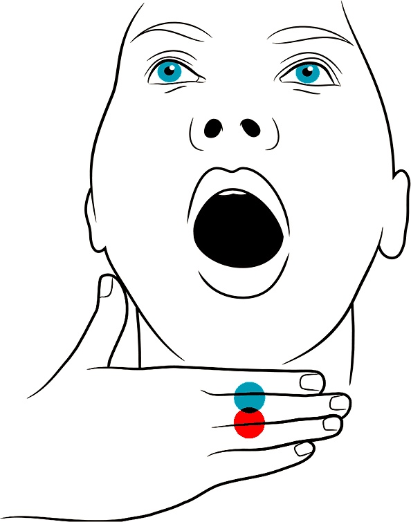 Голос Голос