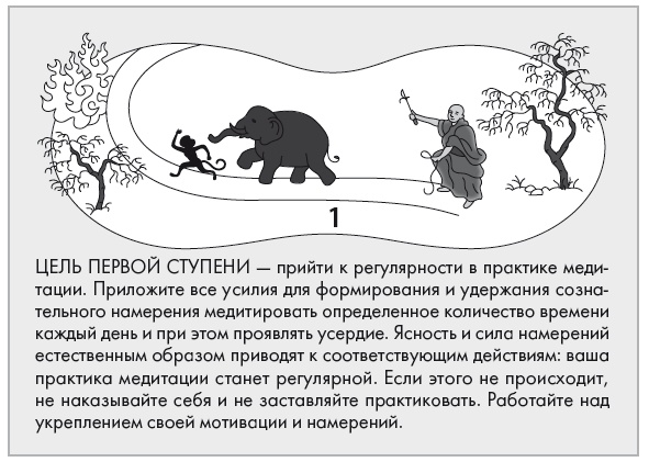 Свет ума Свет ума