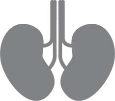 Дикий гормон Дикий гормон