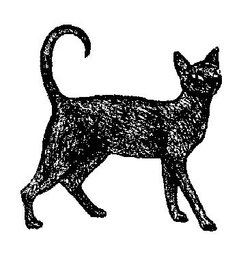 Кот для двоих Кот для двоих