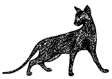 Кот для двоих Кот для двоих