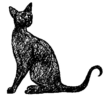 Кот для двоих Кот для двоих