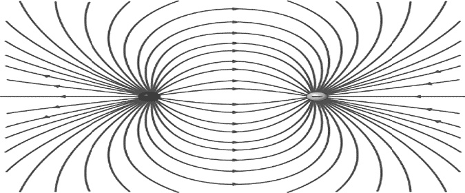 Нереальная реальность. Путешествие по квантовой петле Нереальная реальность. Путешествие по квантовой петле