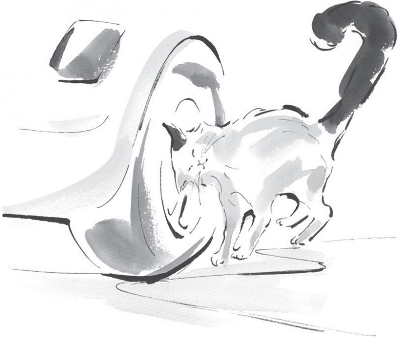 Хроники странствующего кота