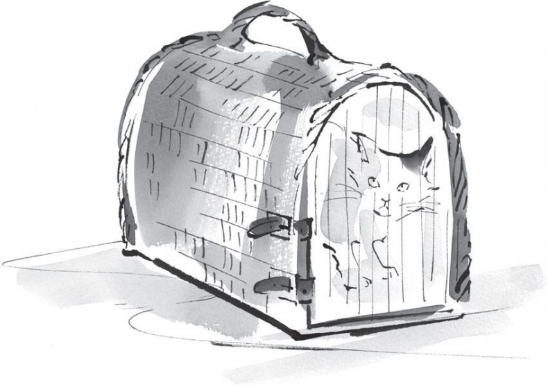 Хроники странствующего кота Хроники странствующего кота