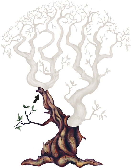 Сулажин Сулажин