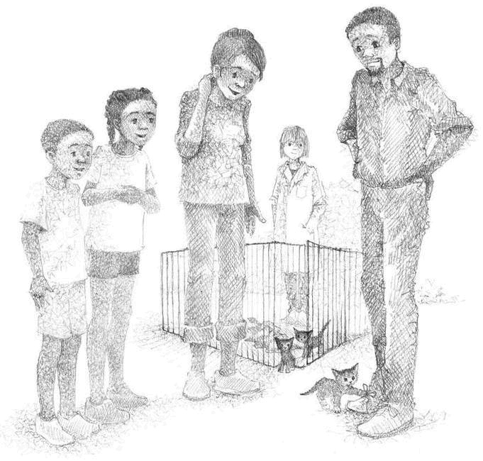 Котёнок Чарли, или Хвостатый бродяга Котёнок Чарли, или Хвостатый бродяга