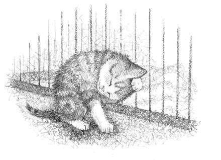 Котёнок Чарли, или Хвостатый бродяга Котёнок Чарли, или Хвостатый бродяга